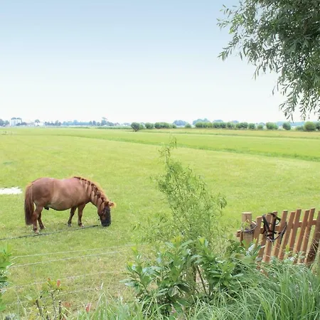 Logies De Hooiberg * Haringhuizen